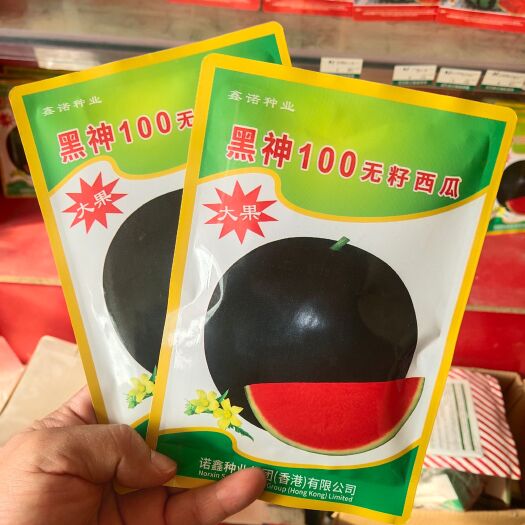 黑神100黑皮无籽西瓜种子易管理含糖量不奇型大红瓤耐放产量高