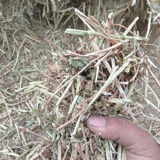 孟州市花生秧草料