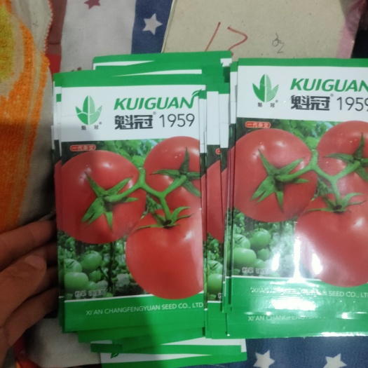 西红柿种子