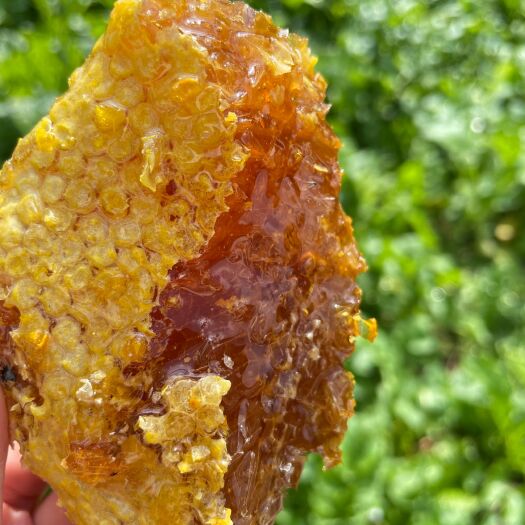 昆明蜂蜜