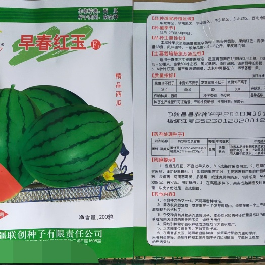 早春红玉F1西瓜种子易管理商品性强口感好含糖量高皮薄
