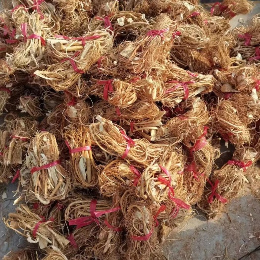 韶关本地五指毛桃，山地货香味十足干度十足，有中扎和长枝，