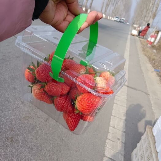 平度市草莓