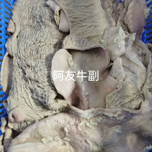 汕头【量大优惠】开边拋开破开飞水牛大肠半成品半熟新鲜干净少油熟度