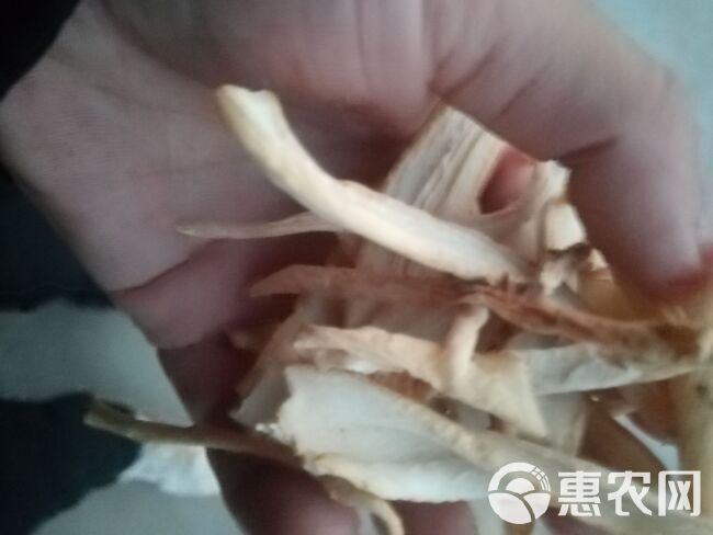 黄精片 干货 烘干 一级片