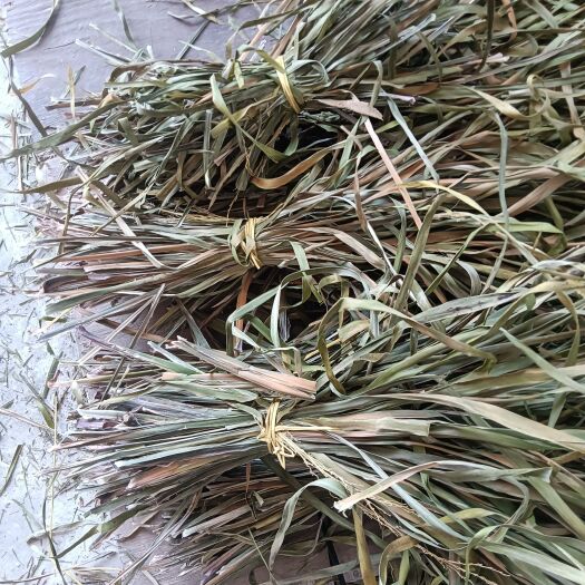 融水县茴香菖蒲