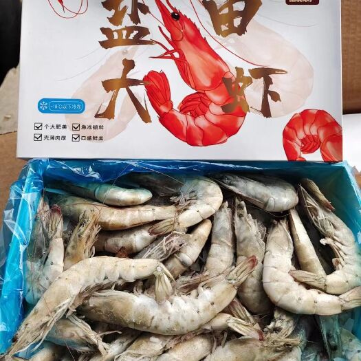 济南盐田大虾 40/50   海捕大虾   只只分离