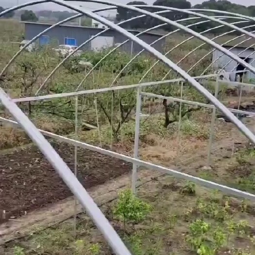 无锡温室大棚骨架