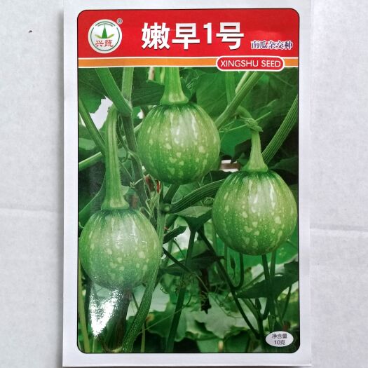 武汉兴蔬嫩早1号小南瓜种早熟耐寒圆西葫芦嫩圆南瓜种子10克
