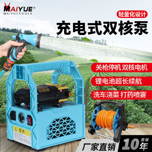 臨海市打藥機(jī) 噴霧機(jī) 高壓小型多功能手提式電動(dòng)噴霧器新式雙泵大揚(yáng)