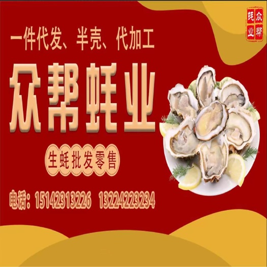 大连生蚝批发零售