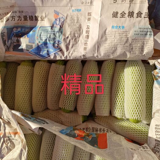 勐海县绿皮西葫芦/小瓜