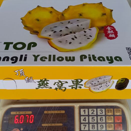 南宁燕窝果