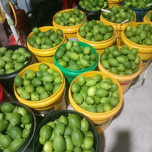开平市广东无籽香水柠檬次一级