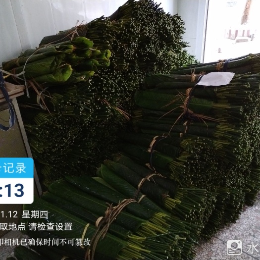 兴业县新鲜大量粽叶（20张1把）产地批发