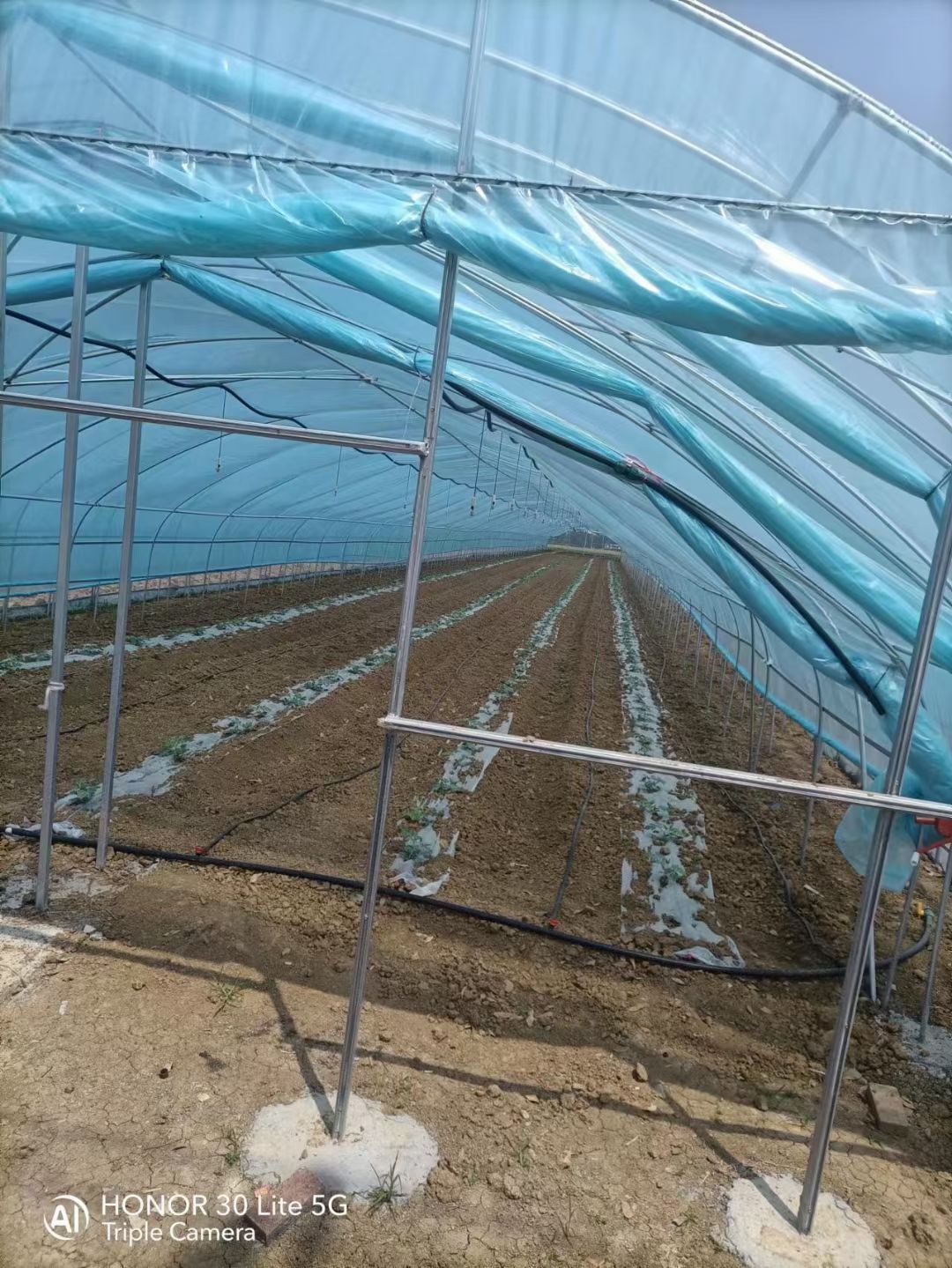 大棚膜  po膜 多功能长寿塑料棚膜蔬菜大棚膜养殖大棚膜