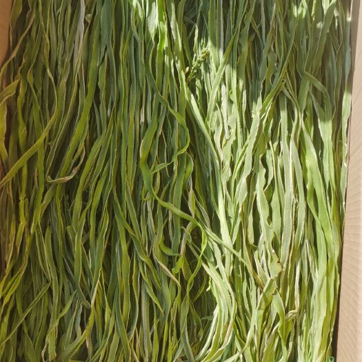 义门苔干大理特产贡菜干脱水蔬菜响菜