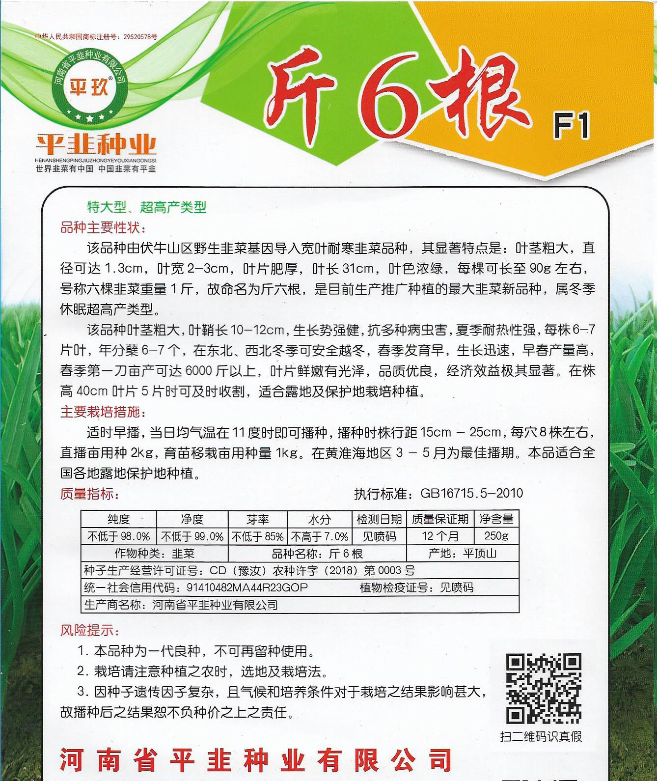 斤六根韭菜种子休眠大田露地宽叶根粗韭菜