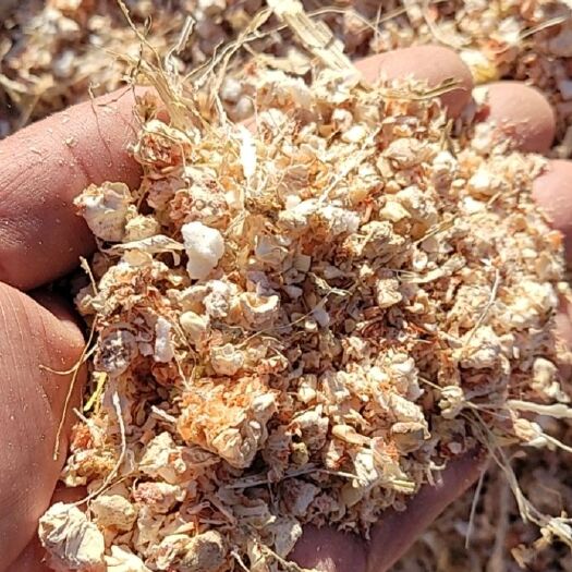 北京出售玉米芯，种蘑菇料