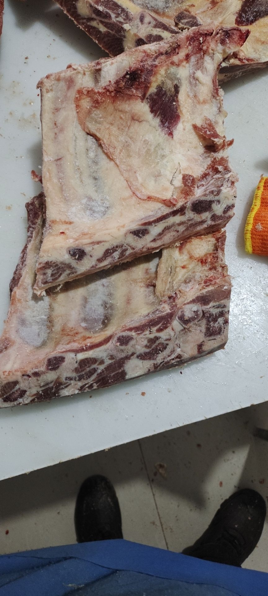 牛光排