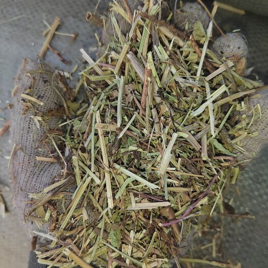 延津县优质花生秧产地直发