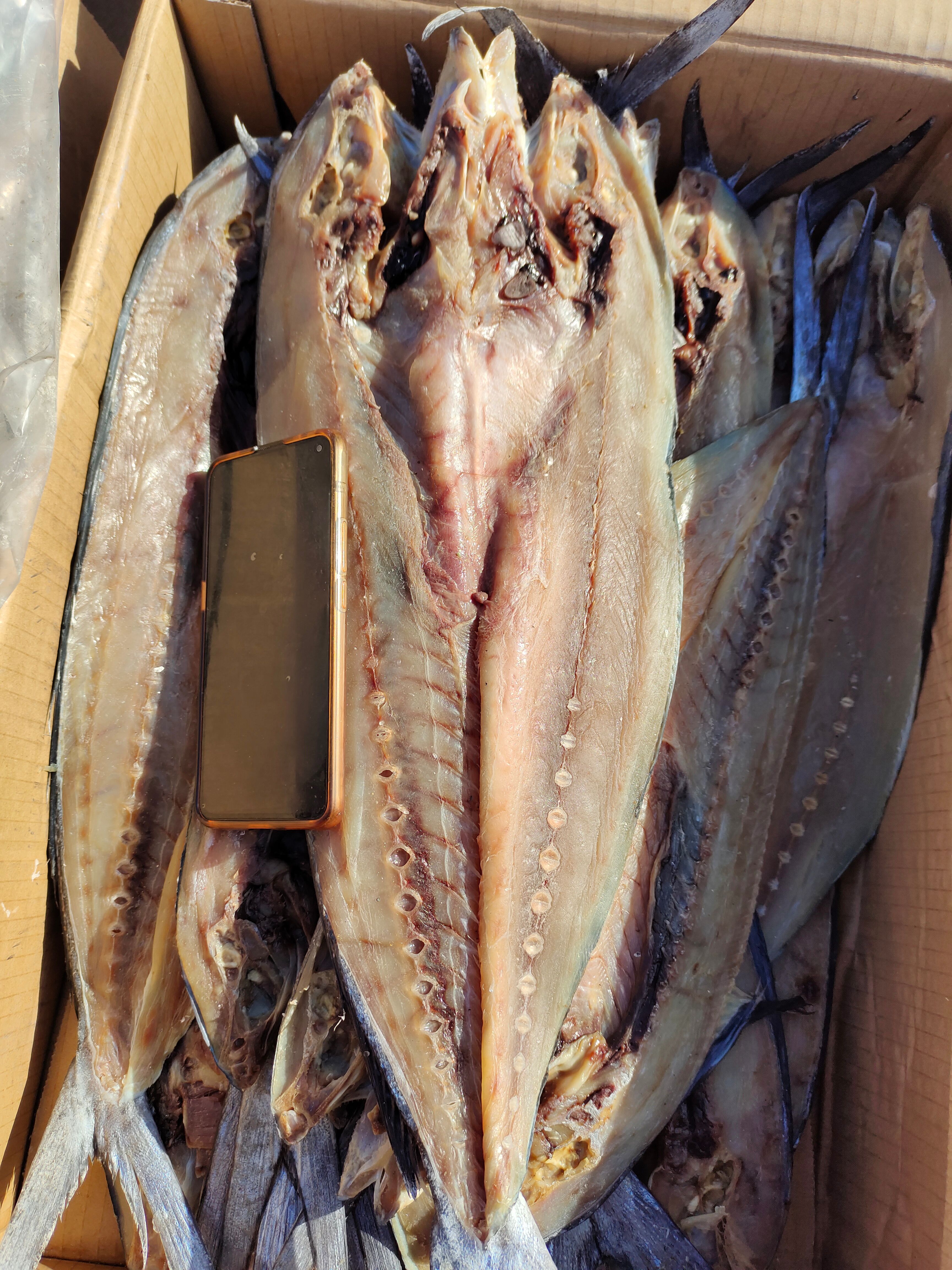 咸刀鲅鱼咸鱼干！开背去内脏的！新货
