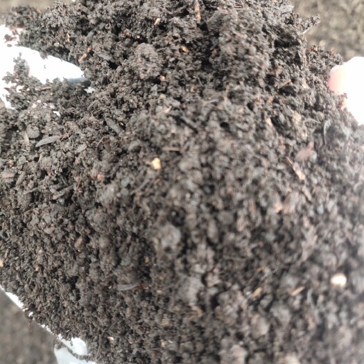 盐城养殖场纯羊粪