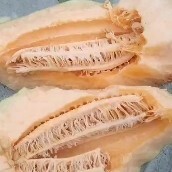 长沙西州蜜