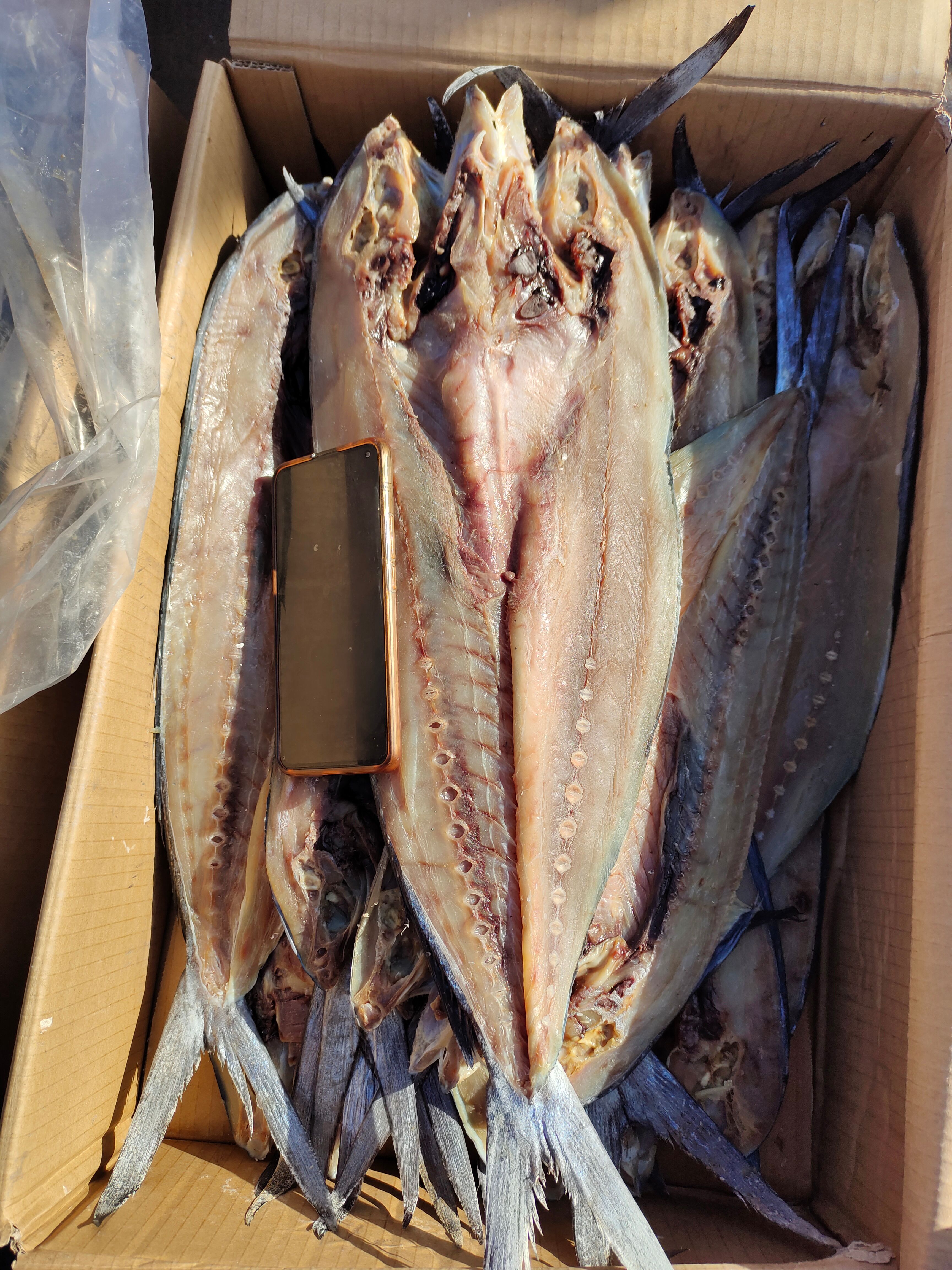 咸刀鲅鱼咸鱼干！开背去内脏的！新货