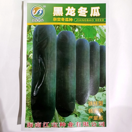 武汉海南江宝种业黑龙冬瓜种子杂交黑皮冬瓜铁柱型转黑快耐寒强