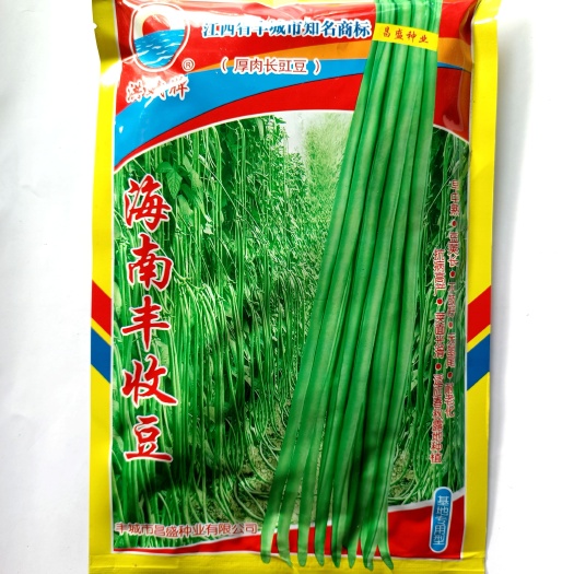 海南丰收豆角种 早中熟无鼠尾小叶抗病春秋两用厚肉豇豆种