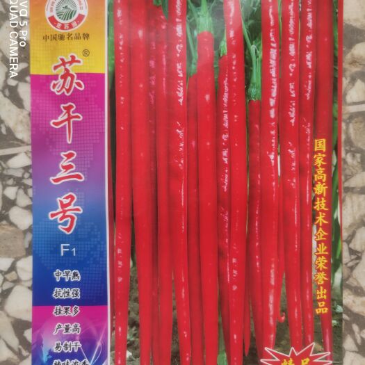 苏干三号，中早熟，香辣，青红鲜果和干椒销售，易于干制