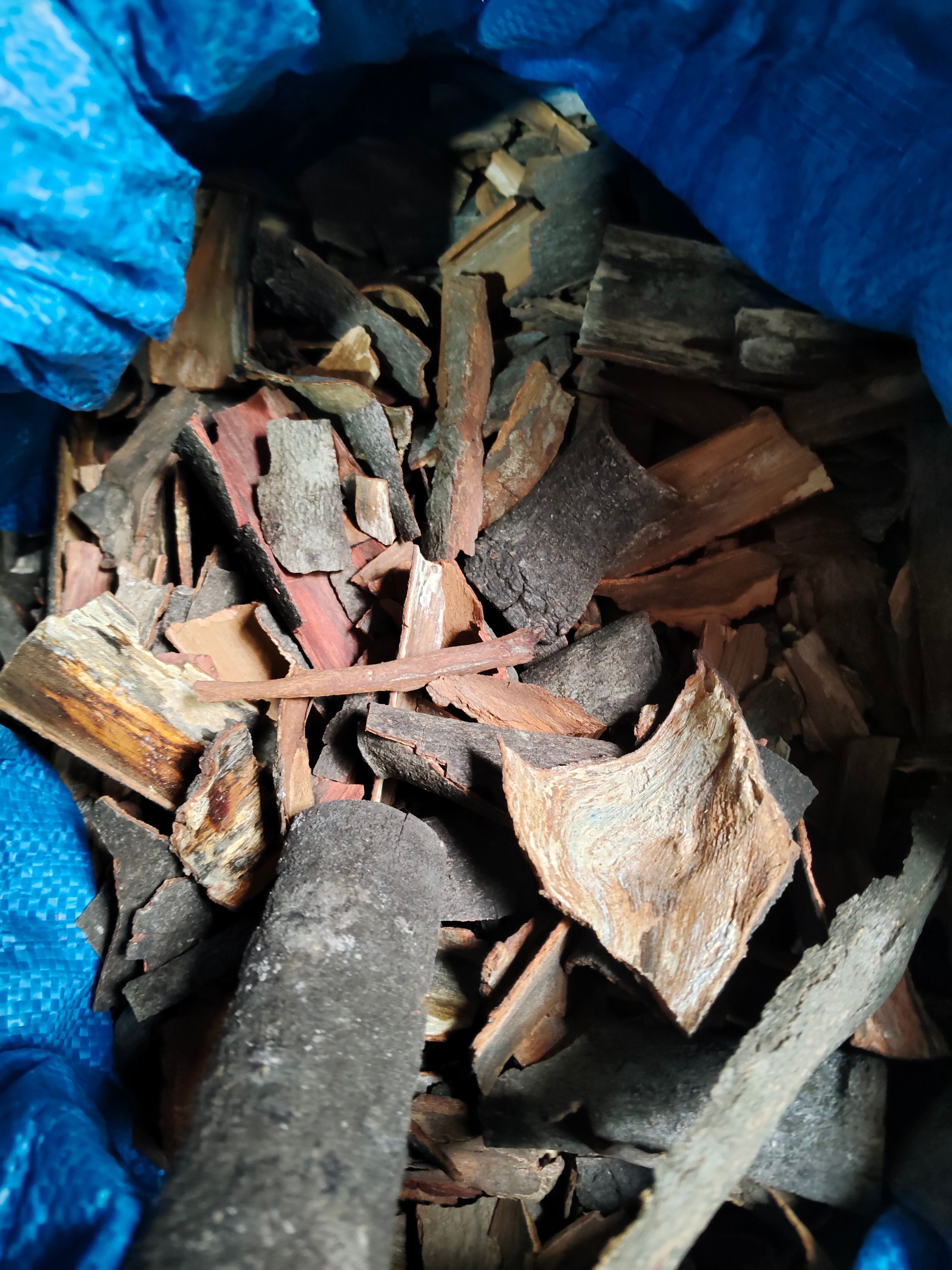 广西老桂皮碎农家自割