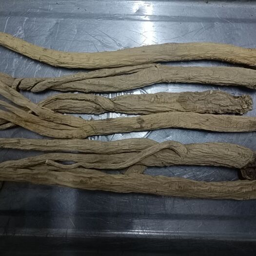 洞口县党参
