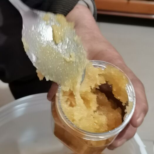 康县放不坏的秦岭正宗土蜂蜜3000斤
