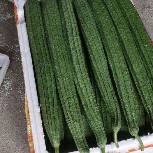 精品蔬菜批发