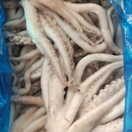 荣成市单冻鱿鱼头