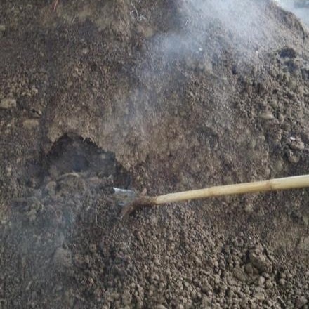 耿马县牛粪 发酵牛粪 生牛粪 袋装牛粪