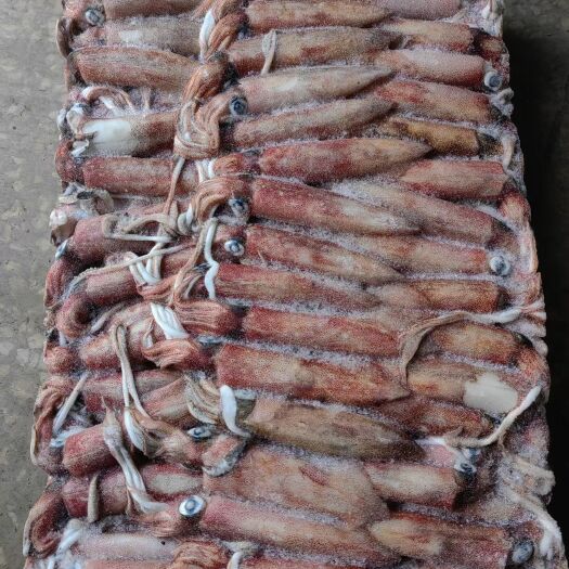 北海印尼红鱿鱼系列，价格连美，品质鲜美，大众适用