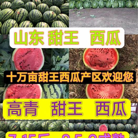 高青县专业代收发甜王西瓜7-15斤9成熟山东淄博高青十万亩西瓜产地