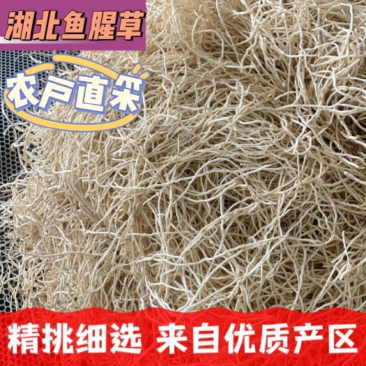 当阳市湖北鱼腥草（水田根、旱田根）大量供货产地量大上车