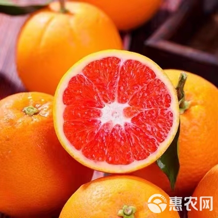 湖北橙子秭归中华红橙血橙皮薄肉厚清甜多汁自然成熟产地直发货