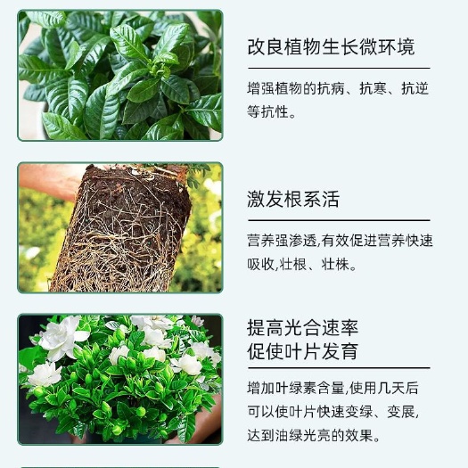 宜昌生物肥料