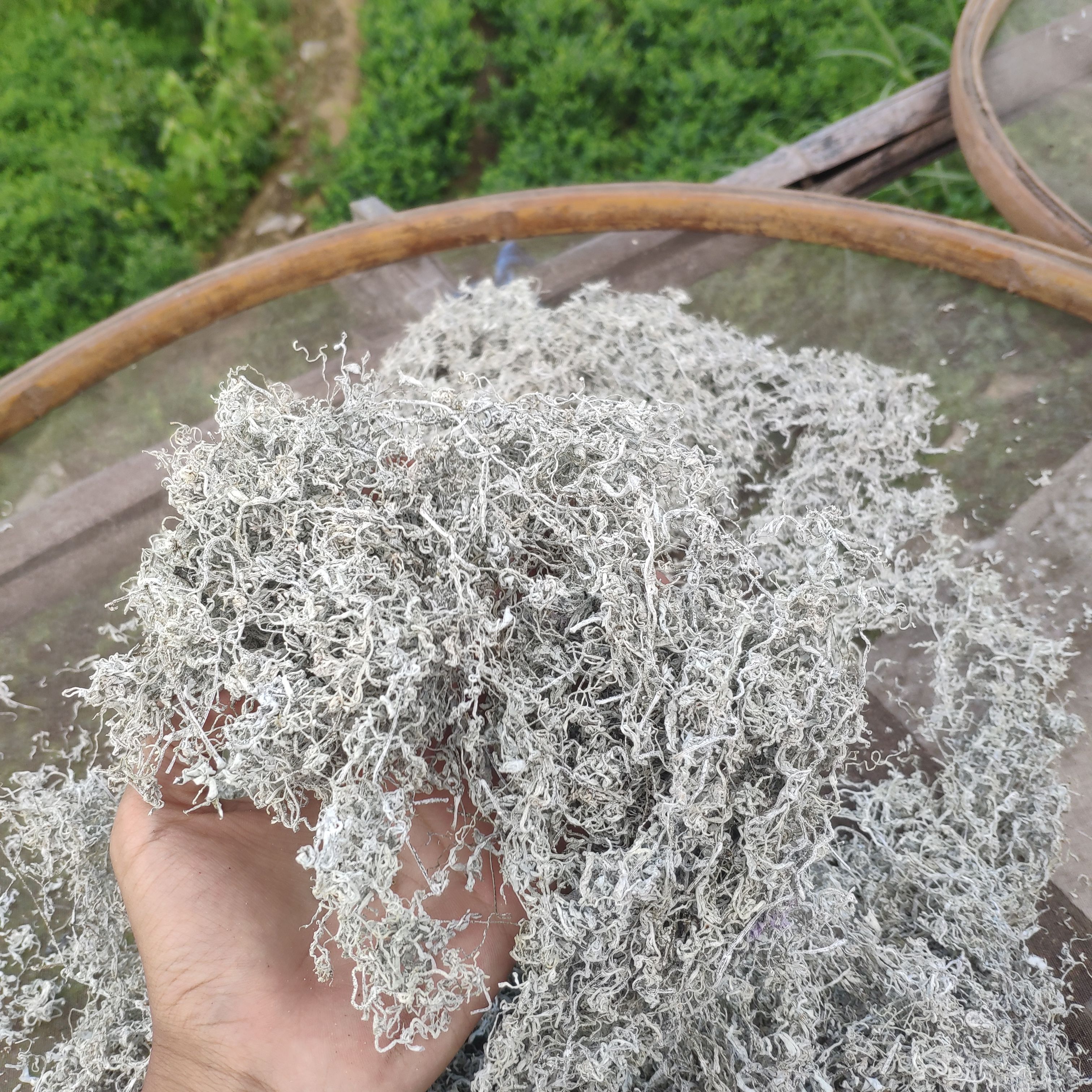 张家界张家界茅岩莓清明茶
