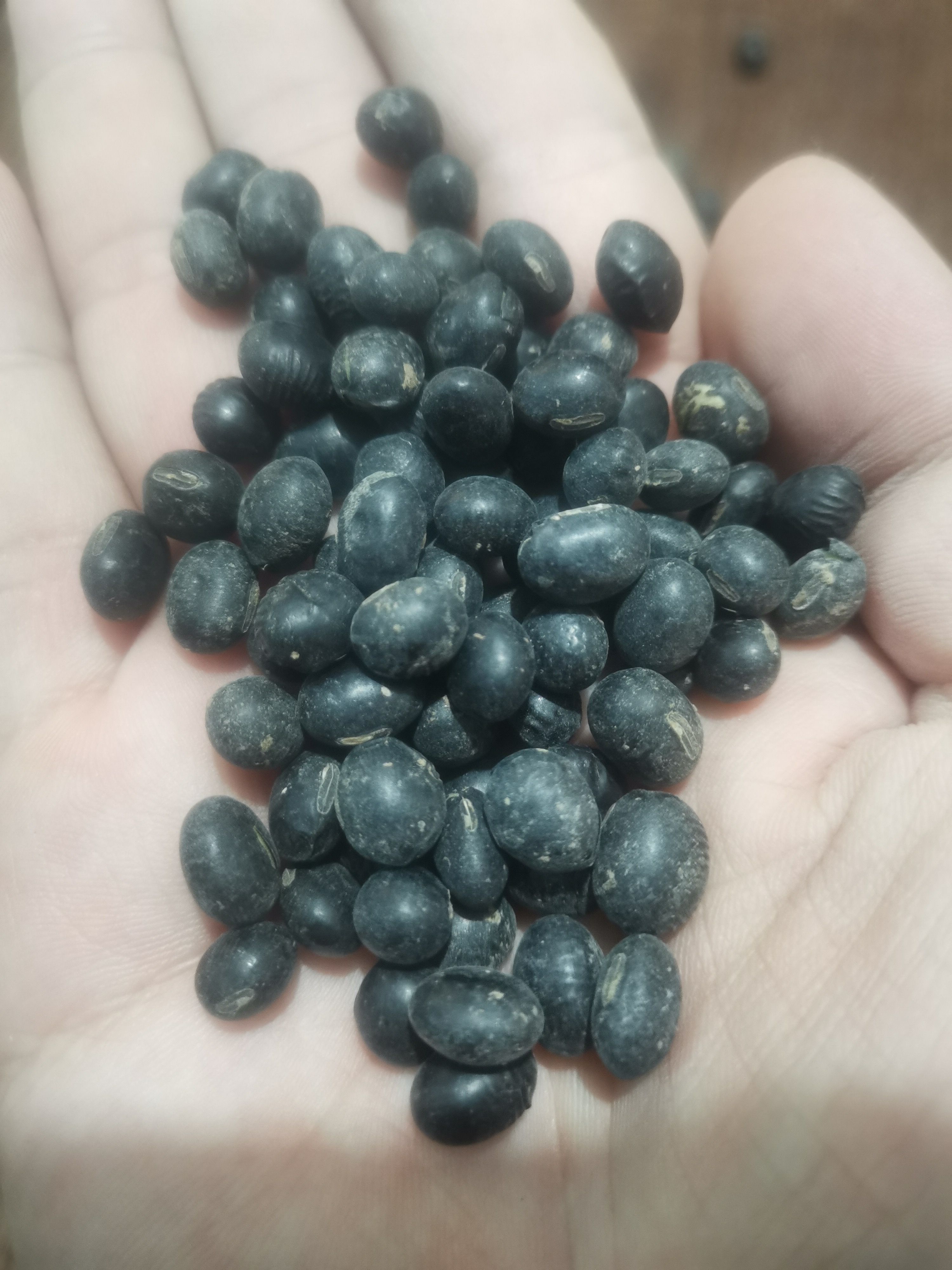 绿仁黑豆
