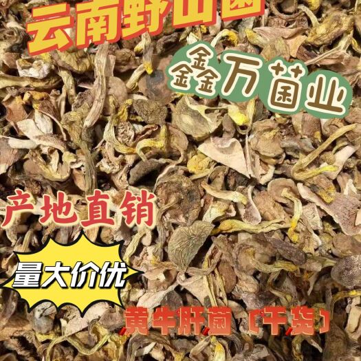 古田县云南野山菌黄/黑牛肝菌吊汤货