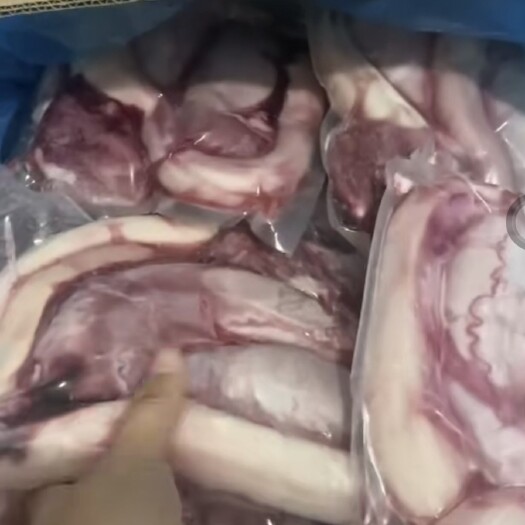 庆云县国产鞭宝！质量好