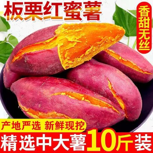 尉氏县【沙地红薯】超甜糖心蜜薯板栗红薯新鲜甜糯粉糯山芋黄心地瓜蔬菜