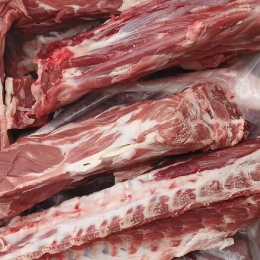 郑州**产品满肉羔羊脊骨，肉多多，质量保证！手续齐全