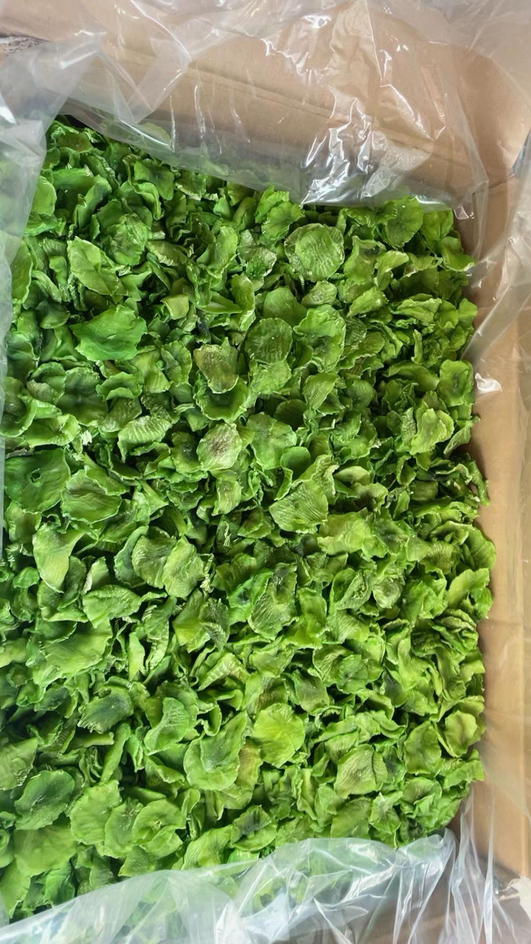 莴笋干，莴笋片，湖南优质干莴笋片，食品经营许可蔬菜加工农产品